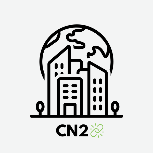 为什么美国企业需要CN2高级回国线路：提升中美网络连接体验的关键技术